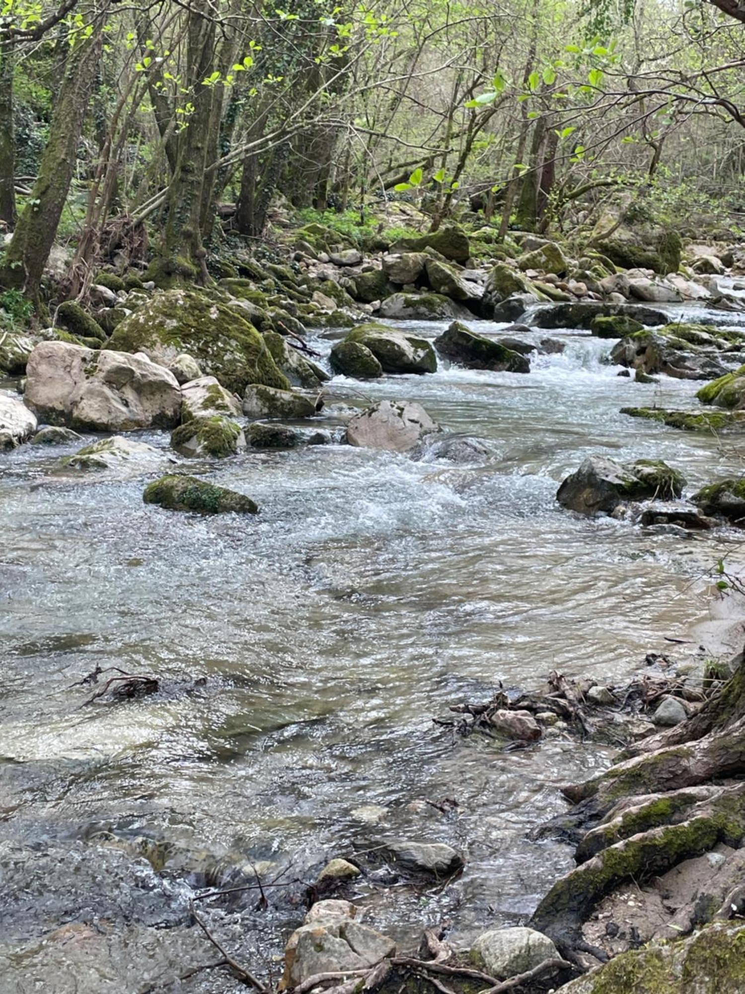Dans Les Cevennes *